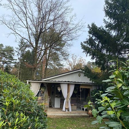Chalet Sint Barbara زوتيندال المظهر الخارجي الصورة