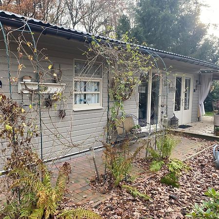 Chalet Sint Barbara زوتيندال المظهر الخارجي الصورة