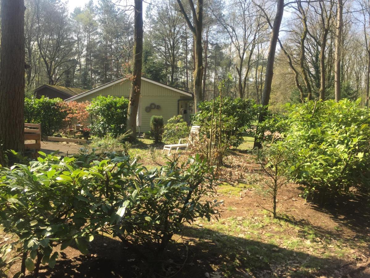 Chalet Sint Barbara زوتيندال المظهر الخارجي الصورة